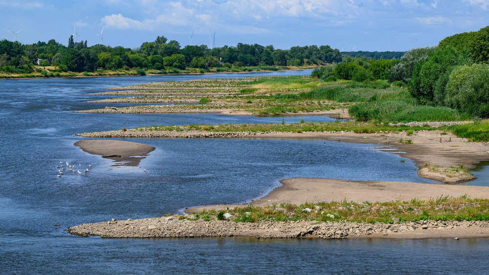 Niedrigwasser im Grenzfluss Oder