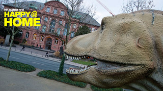 Museen in Hessen: Die besten Tipps für die ganze Familie