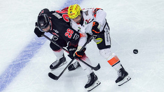 Punkte sammeln & VIP-Tickets für Eishockey gewinnen