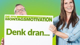 Lustige Motivationssprüche: FFH-Montagsmotivation
