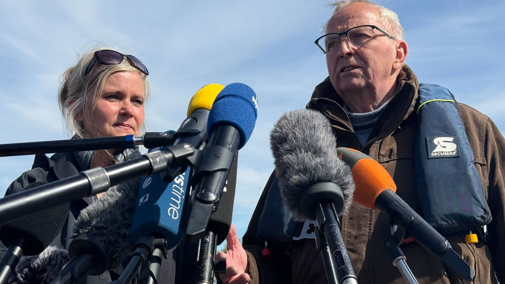 Weitere Entwicklung zum Buckelwal in der Ostsee