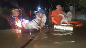 Sturm «Bualoi» fegt über Philippinen - Tote und Verletzte