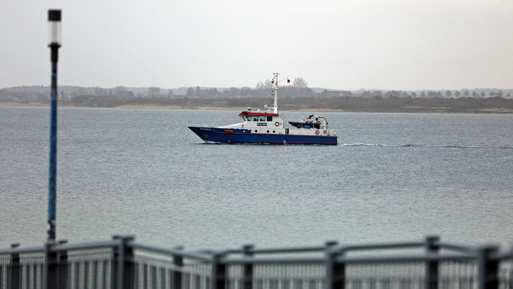 Buckelwal vor Ostseeküste ist abgetaucht