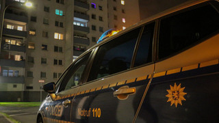 Nach Mord an eigener Mutter in Offenbach: 26-Jähriger in Psychiatrie