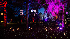 Phungo Festival startet: Open-Air Programm in Pfungstadt