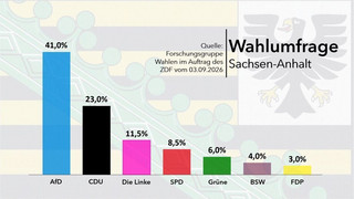 Wahlkampffinale in Sachsen-Anhalt - AfD in Umfrage klar vorn