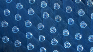 Plastikbranche unter Druck: Preise im Sinkflug