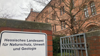 Kaum bemerkt: 2024 dreimal so viele Mini-Erdbeben in Hessen als vorher