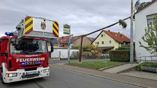 Kirmesbaum kracht auf Dorfgemeinschaftshaus in Groß-Gerau