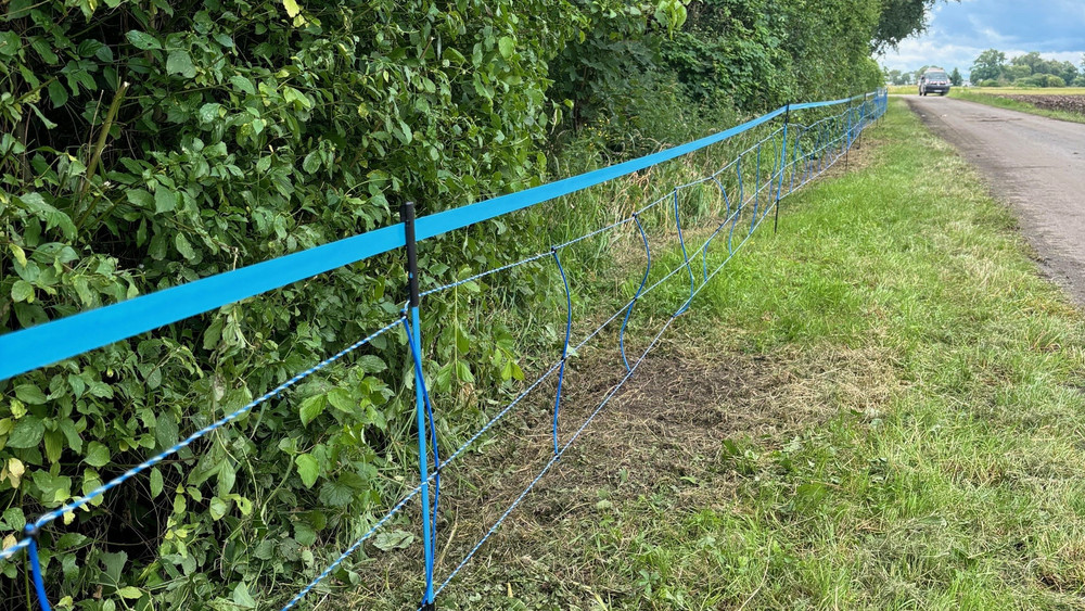 Zur Abgrenzung der Kernzone hat der Kreis Groß-Gerau mit dem Bau von Elektrozäunen begonnen.