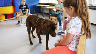 Kreuz& Quer am 27. Juli 2025 Kita-Hand Samu und Bier soll Orgel retten