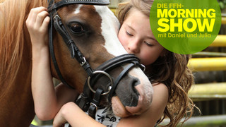 Mein Kind will ein Pferd, was jetzt?