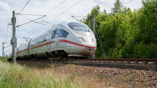 Wildwarner für weniger Wildunfälle auf ICE-Strecke