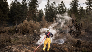 Feuer im Hohen Venn Brandursache im Fokus