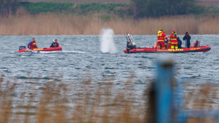 Greenpeace zu Buckelwal: «Megastress für das Tier»