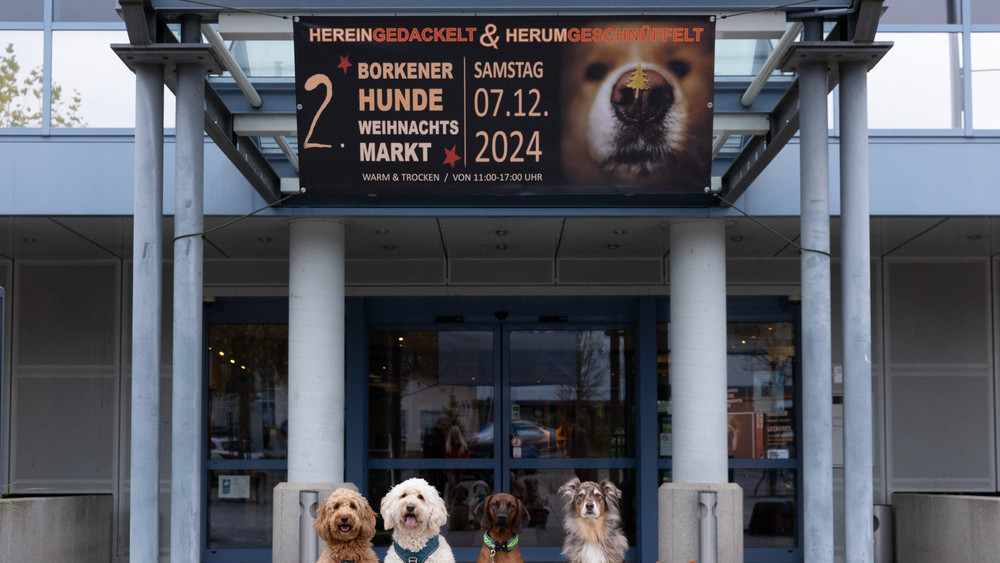 Zum zweiten Mal findet am Samstag 7.12. der Hundeweihnachtsmarkt in Borken statt.