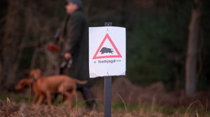 Umleitungen eingerichtet: Treibjagd am Hoherodskopf