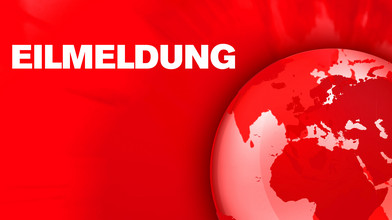 Baum stürzt um - Drei Menschen sterben bei Flensburg