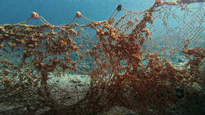 Geisternetze: Gefahr für Fische im Mittelmeer