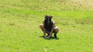 Therian-Trend: Maskierte Jugendliche treffen sich als 'Tiere' in Buenos Aires