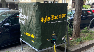 In Wiesbaden geht das Projekt #gießbaden weiter