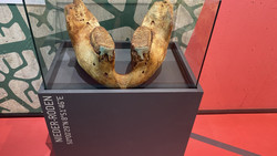 Silber, Saurier und Steine in der Grube Messel