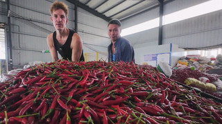 Das Milliarden-Business in der Welthauptstadt der Chili