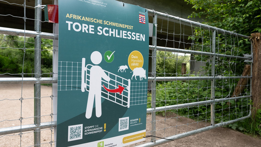 Schweinepest-Schutztore im Rheingau