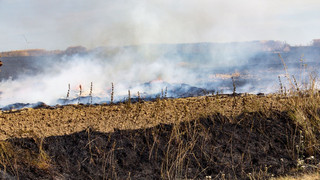 10 Hektar Acker bei Alsfeld abgebrannt - Rauch bis Lauterbach sichtbar