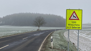 Neue Warnschilder im Landkreis Gießen sollen Wildunfälle verhindern