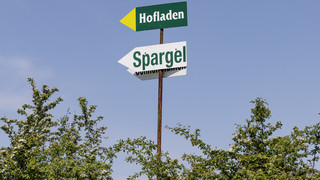 Lampertheim: Spargelverkauf kommt nach frühem Saisonbeginn in Fahrt