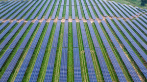 Solarstrom trifft Landwirtschaft: Deutschlands größter Agri-PV-Park gestartet