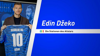 Edin Džeko auf Schalke: Die Stationen des Altstars