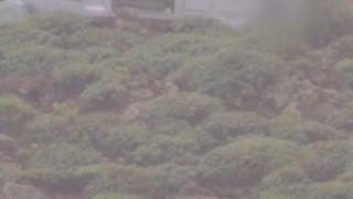 La Gomera: Touristenbus auf Kanareninsel verunglückt – ein Brite tot