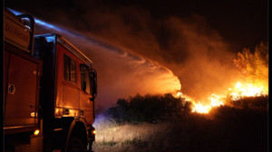 12 Tote bei Waldbrand in Südspanien