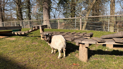 "Wirgarten Fulda" startet mit Neuzugängen in den Frühling