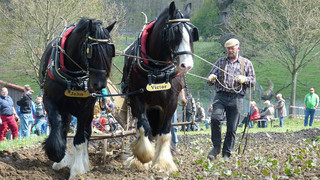 Handwerk und Kinder-Programm: Frühlingsmarkt im Tierpark Sababurg