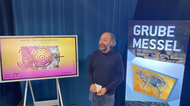 Spannende Entdeckungsreise: Das zeigt jetzt die Grube Messel