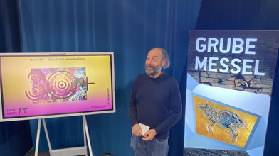 Spannende Entdeckungsreise: Das zeigt jetzt die Grube Messel