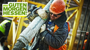 Hessens kurioseste Nebenjobs: Schweine-Besamer und Profi-Klatscher