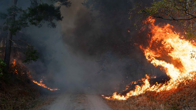 Feuer unmittelbar vor Eifel-Ort - 1.800 Bewohner evakuiert