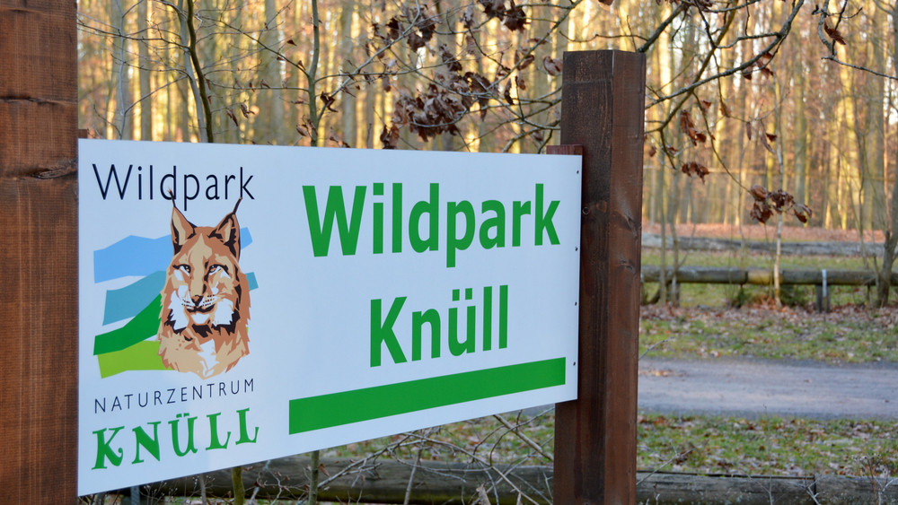 Nach dem Ausbruch der hochansteckenden Maul- und Klauenseuche (MKS) in Brandenburg bleibt der Wildpark Knüll in Homberg/Efze bis auf weiteres für Besucher geschlossen. 