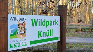 Vorsichtsmaßnahme wegen Seuche: Wildpark Knüll schließt