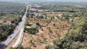 Wassermangel auf Mallorca: Gemeinde dreht Wasserhahn ab