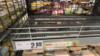 Leere Regale: Gibt es genügend Ostereier für alle?