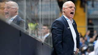 Eishockey: Adler Mannheim trennt sich von Trainer Pavel Gross