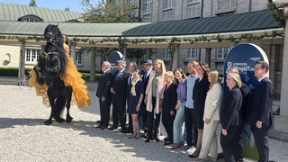 Top-Pferdesport beim Pfingstturnier im Schlosspark Wiesbaden-Biebrich