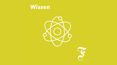 Podcast FAZ Wissen: So spannend kann Wissenschaft sein