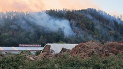 Kampf gegen Brände im Schwarzwald: Hunderte Helfer vor Ort