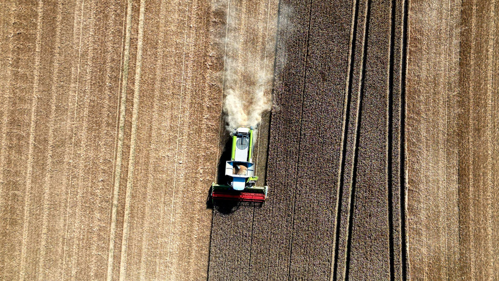 Hessens Landwirte konnten 2025 durchschnittlich 71,3 Dezitonnen Getreide je Hektar Anbaufläche dreschen (Archivbild).
